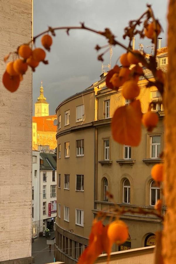Main Square Dream Apartment Загреб Экстерьер фото